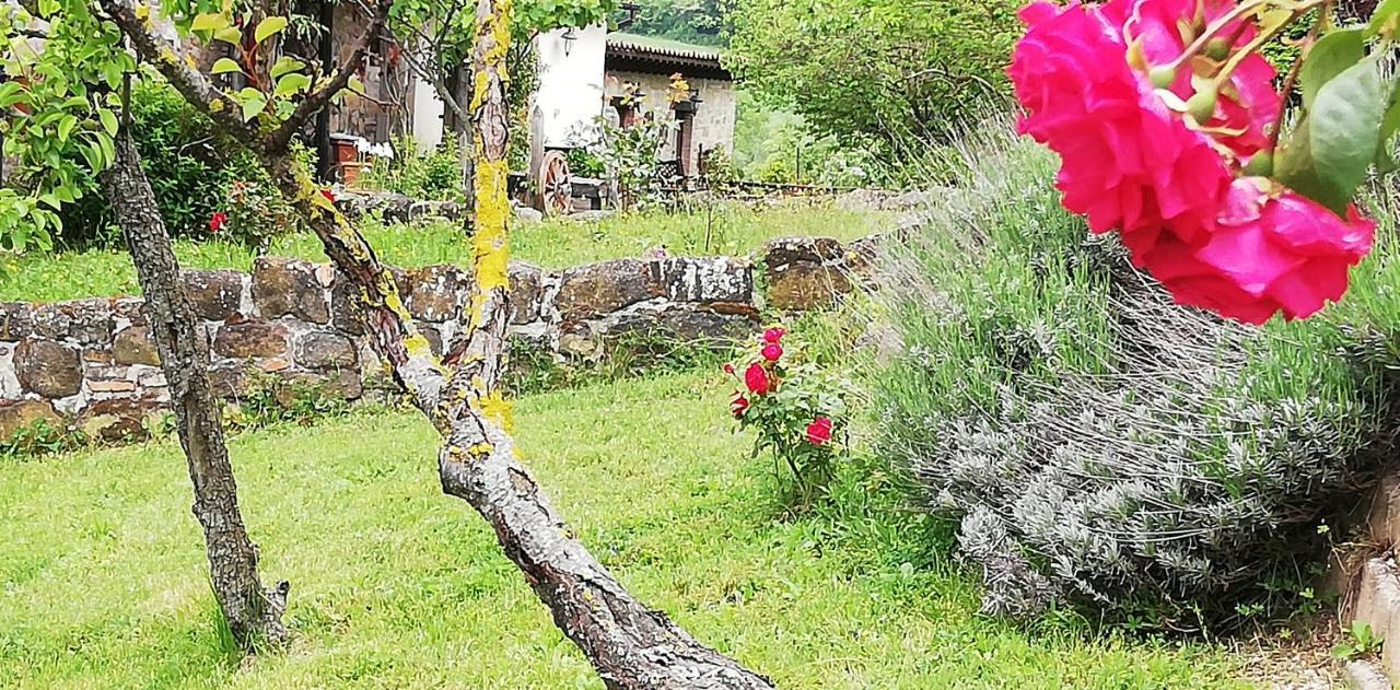 B&B Caselunghe Камерино Екстериор снимка